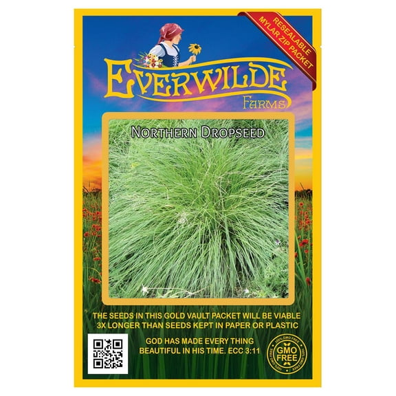 Everwilde Farms - 400 Northern Dropseed Native Grass Seeds - Gold Vault Jumbo Bulk Seed Packet