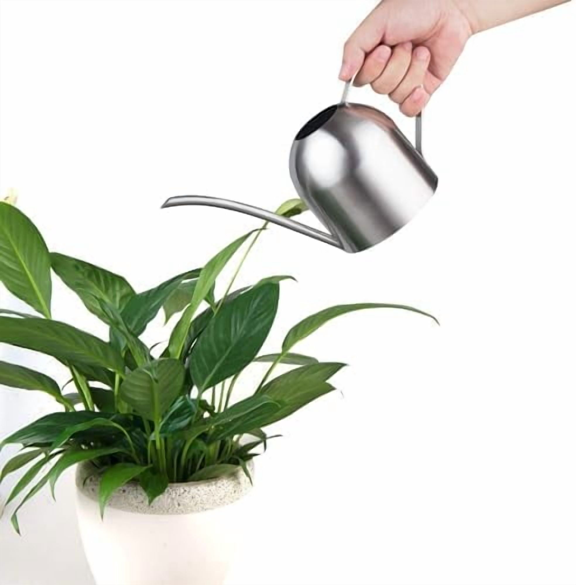 Indoor Watering Can for House Plants Stainless Steel Watering Can Metal with Long Spout (33oz/1L)