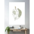 thumbnail image 2 of Monstera Leaf One Line Art 2 Poster Wall Art, Modern Wall Decor For Living Room Bedroom, 8x12 UNFRAMED, 2 of 3
