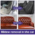 thumbnail image 3 of 60ml Car Mold Remover Spray Effective Interior Car Cleaner For Household Cleaning Products, 3 of 5
