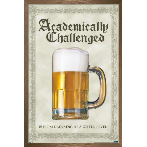 Academically Challenged Wall Poster, 22.375" x 34", Framed