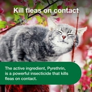 Advantage Cat Flea Treatment Spray, Kills Fleas & Ticks, Cat Flea Spray, 8 oz.