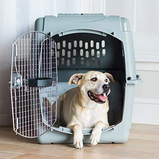 Travel dog hot sale crate walmart