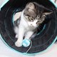 thumbnail image 3 of Túnel de juego para gatos, juguete para gatos, juguete para perros, túnel de juego de 3 vías para gatito, cachorro, conejo, perro pequeño TUNC Sencillez, 3 of 5