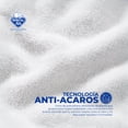 thumbnail image 2 of Cubre Colchón Spring Air Towel-Tech Individual | Tecnología de Toalla Suave y Transpirable – Protección Premium, 2 of 6
