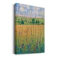thumbnail image 2 of Wildflower Path II Premium Gallery Wrapped Canvas - Ready to Hang, 2 of 9