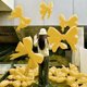 thumbnail image 4 of Lazo de macarrón de aluminio mate de tendencia coreana, decoración para fiestas, cumpleaños, 61.º Día del Niño, actividades de jardín de infantes, globo con lazo, 4 of 6