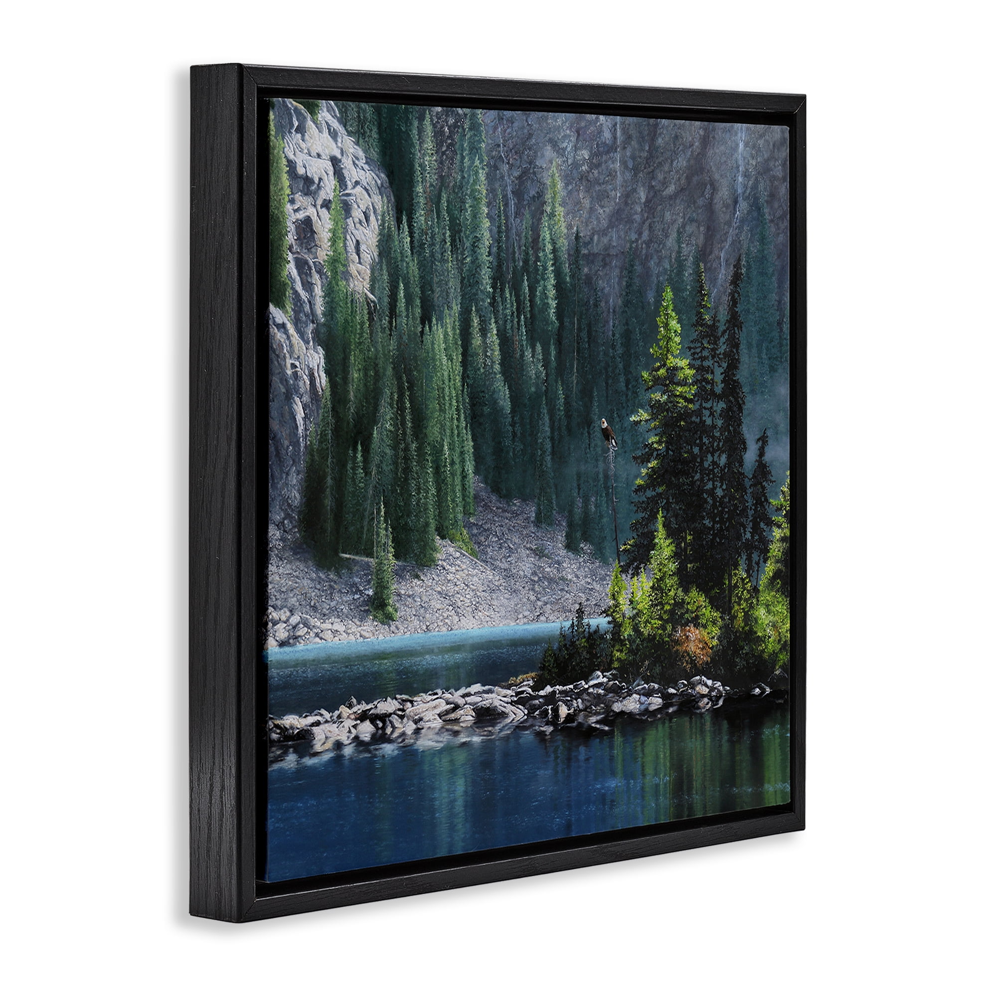 Stupell Industries Tree Spires in Nature Landscape & Nature Photography Black Floater Framed Canvas Art Print Wall Art, 18 x 18