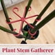 thumbnail image 3 of 200 Piezas de Soporte para Tallos de Plantas, para Tallos de Plantas Trepadoras, Clips de Soporte de Jardín para Alocasia Monstera Roja, 3 of 5