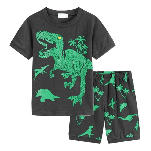 Zecgelong Pyjamas d'Été pour Tout-Petits Enfants Bébés Garçons, Pyjamas pour Garçon, Train, Tenue de Nuit, Ensembles Courts, Taille 2-3 Ans