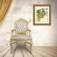 thumbnail image 3 of Vision Studio 20x24 Gold Ornate Wood Framed with Double Matting Museum Art Print Titled - Pear Varieties II, 3 of 4