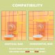 thumbnail image 3 of Rabbit Water Bottle, 600ml Hanging Automatic Water Dispenser By Gravity Flow For Bunny Chinchilla Guinea Ferrets, 3 of 5