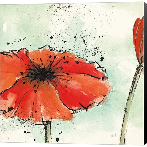 Not a California Poppy III by Chris Paschke, Canvas Wall Art