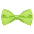 thumbnail image 1 of TOPTIE Smoking Formel pour Homme Nœud Papillon en Satin Uni Nœud Papillon Classique Pré-Noué-Vert-1 Paquet, 1 of 7