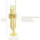 thumbnail image 5 of Juego de trompeta estándar Bb, instrumentos musicales de banda y orquesta para principiantes o estudiantes avanzados, con estuche para trompeta, kit de limpieza para trompeta, boquilla de trompeta, pa, 5 of 5