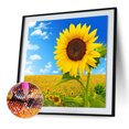 thumbnail image 4 of 5D DIY diamante pintura completo redondo taladro flor artesanía pared pegar mosaico dibujo Hugtrwg Para estrenar, 4 of 9