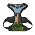 thumbnail image 5 of Lsque Elephant Dog Dog Harness, No-Pull Pet Harness with 2 Leash Clips, Adjustable Soft Padded Dog Vest with Easy Control Handle for Large Dogs-Small, 5 of 9