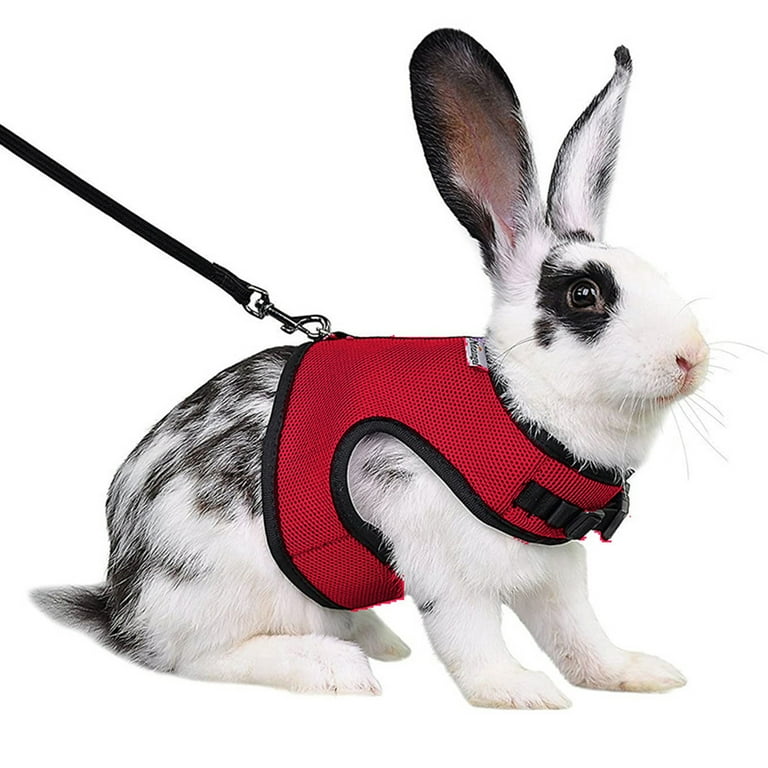 Rabbit Harness and Leash Soft Mesh Small Pet Harness No Pulling Comfort Padded Vest for Guinea Pigs Ferret Chinchilla Bunny Rats Iguana Hamster Walmart