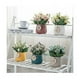 thumbnail image 2 of Brillar Flores artificiales falsas,Planta artificial interior pequeña,Planta artificial interior al aire libre,Decoración de plantas falsas para el hogar, sala de estar, cocina, dormitorio,, 2 of 5