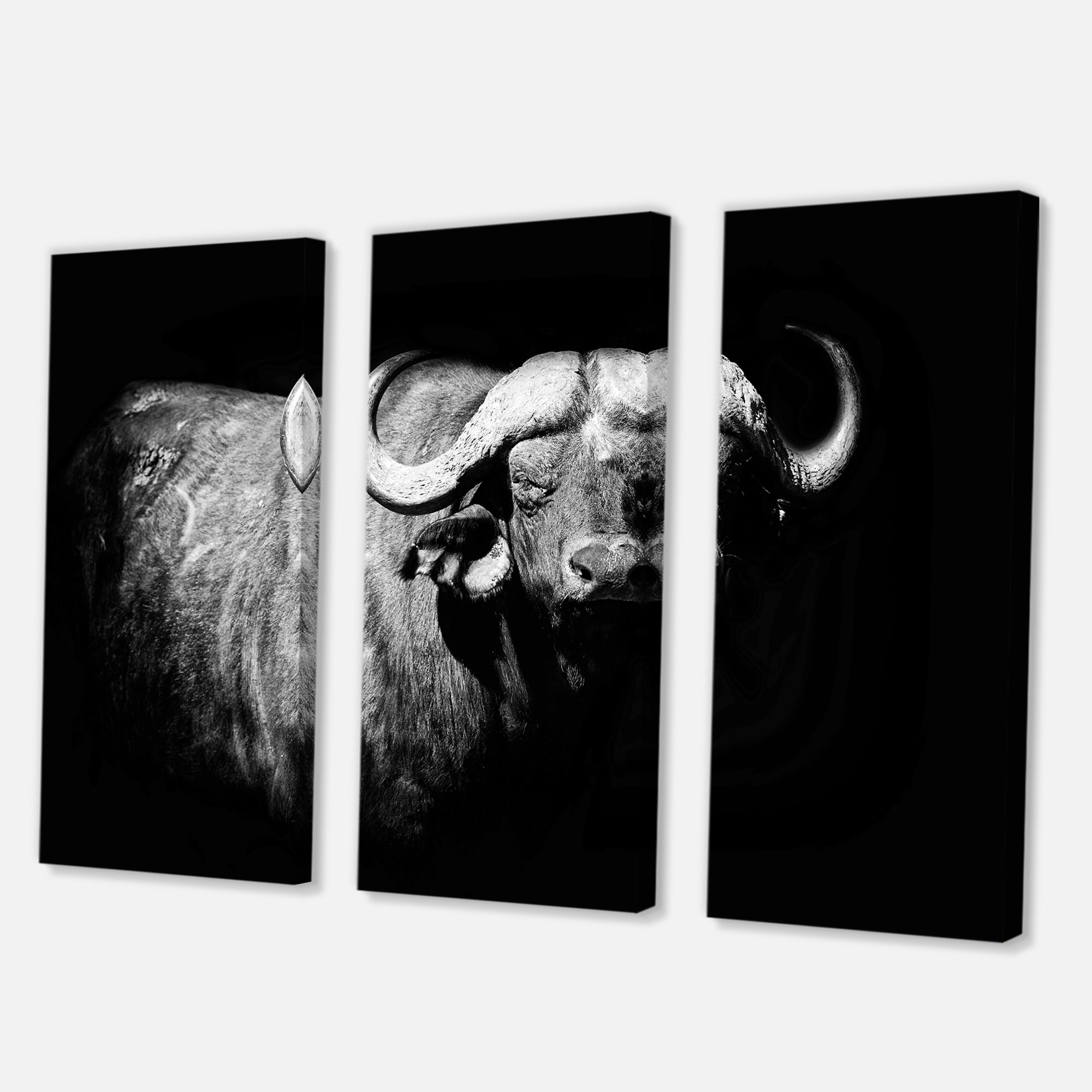 Designart ' Black and White Portrait Of Buffalo I ' Farmhouse Canvas Wall Art Print
