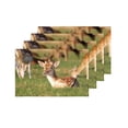 thumbnail image 4 of MKHERT Young Fawn Little Deer Countryside Rural Theme Placemats Table Mats for Dining Room Kitchen Table Decoration 12x18 inch,Set of 4, 4 of 4