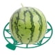 thumbnail image 3 of 12 pcs Soporte palmeado para jardinería Melón Calabaza Sandía Melón Calabazas, 3 of 5