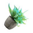 thumbnail image 1 of kurtrusly Realistic Artificial Succulent Low Maintenance Elegant Easy To Clean Artificial Money Tree In Pot blue rose 1Set, 1 of 6