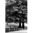 thumbnail image 2 of Grey, Jace 23x32 White Modern Wood Framed Museum Art Print Titled - Central Park Benches, 2 of 4