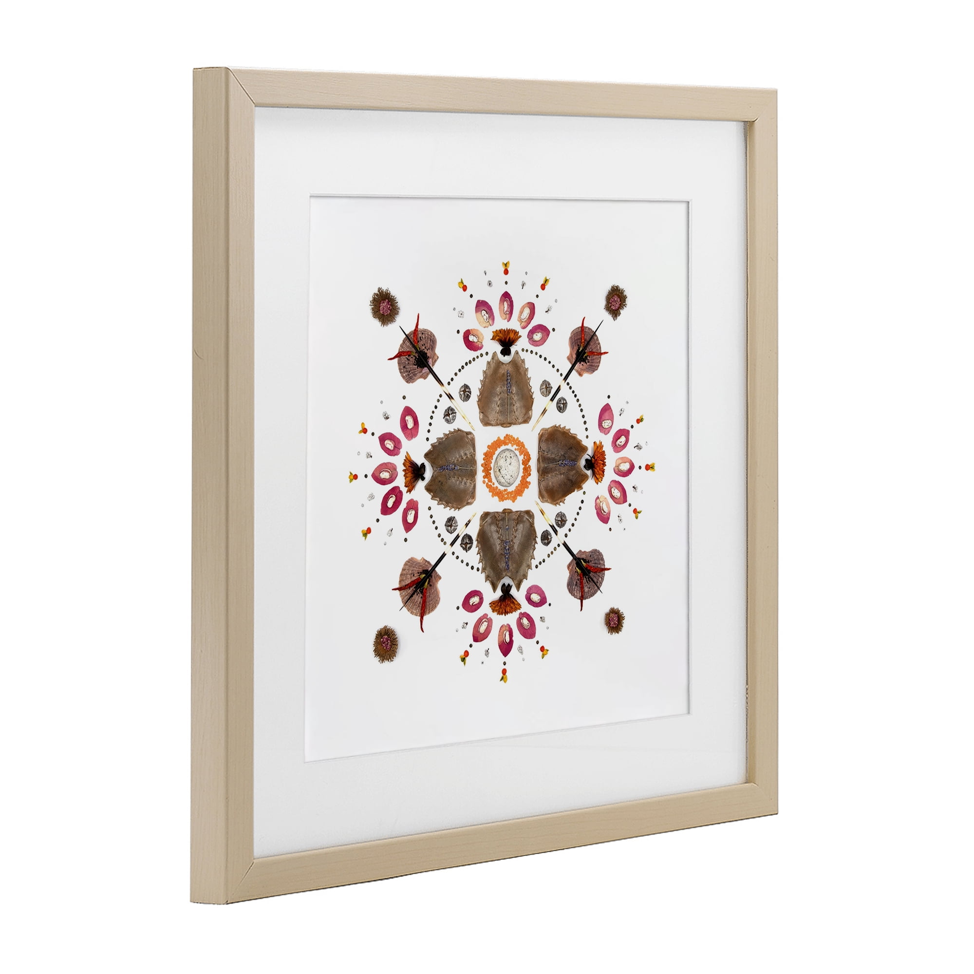 Stupell Industries Symmetrical Nautical Collection Birch Framed Print Under Glass, design by Beth Adoette