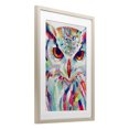 thumbnail image 2 of Stupell Industries Modern Expressive Owl Gaze Birch Framed Print Under Glass, 14 x 20, by Chromatic Storm Studio, 2 of 8