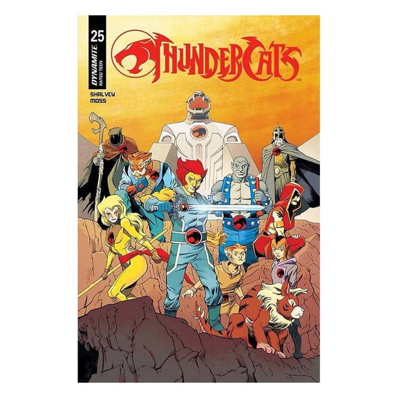 Thundercats #25 Cover B Declan Shalvey