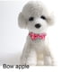 thumbnail image 4 of Nueva mascota fruta lazo cinta gato collar arco extraíble campana, 4 of 5