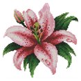 thumbnail image 1 of Cuadros Decorativos Parcial punto de cruz flor lirio 14CT contado bordado DIY costura Tmvgtek embutido en tela, 1 of 9