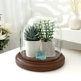 thumbnail image 2 of Plymor 5.5 inch x 5.5 inch Glass Display Dome Cloche (Dark Wood Base), 2 of 3