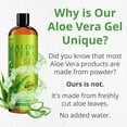 Seven Minerals Organic Aloe Vera Gel with 100% Pure Aloe From Freshly Cut Aloe Plant, Not Powder - No Xanthan, So It Absorbs Rapidly with No Sticky Residue - Big 12 fl oz - image 2 of 5