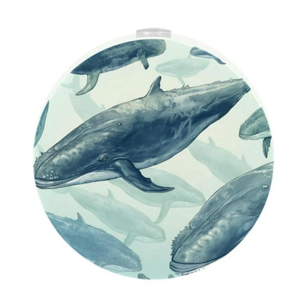 

Whale Circular Night Light - 2 Pack LED Induction Control