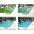thumbnail image 2 of Aqua Pure International REV32 32 oz Revive Phosphate & Algae Remover Chemical Green Swimming Pools, 2 of 2