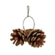 thumbnail image 1 of CAIROYAR Juguetes para masticar loros con forma de piña natural, accesorios para jaulas de pájaros, mordedores para loros, 1 of 7