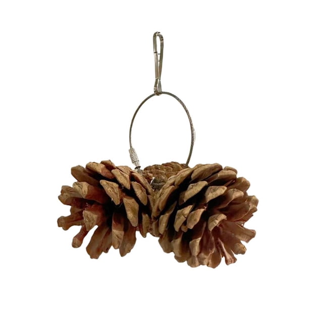 CAIROYAR Juguetes para masticar loros con forma de piña natural, accesorios para jaulas de pájaros, mordedores para loros