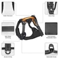 thumbnail image 6 of Lsque 2025 Happy New Year 6 Dog Harness, No-Pull Pet Harness with 2 Leash Clips, Adjustable Soft Padded Dog Vest with Easy Control Handle for Large Dogs-Small, 6 of 9