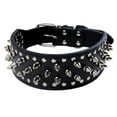 thumbnail image 1 of Apuakthei Collar para perros de cuero con remaches anchos de 2 ",, 1 of 5