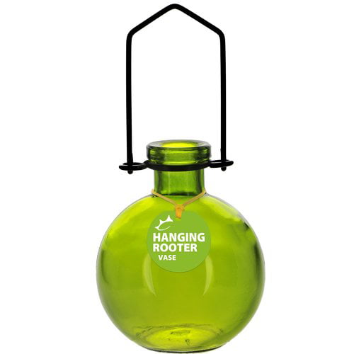 Couronne Hanging Drop Glass Rooting Vase Lime 