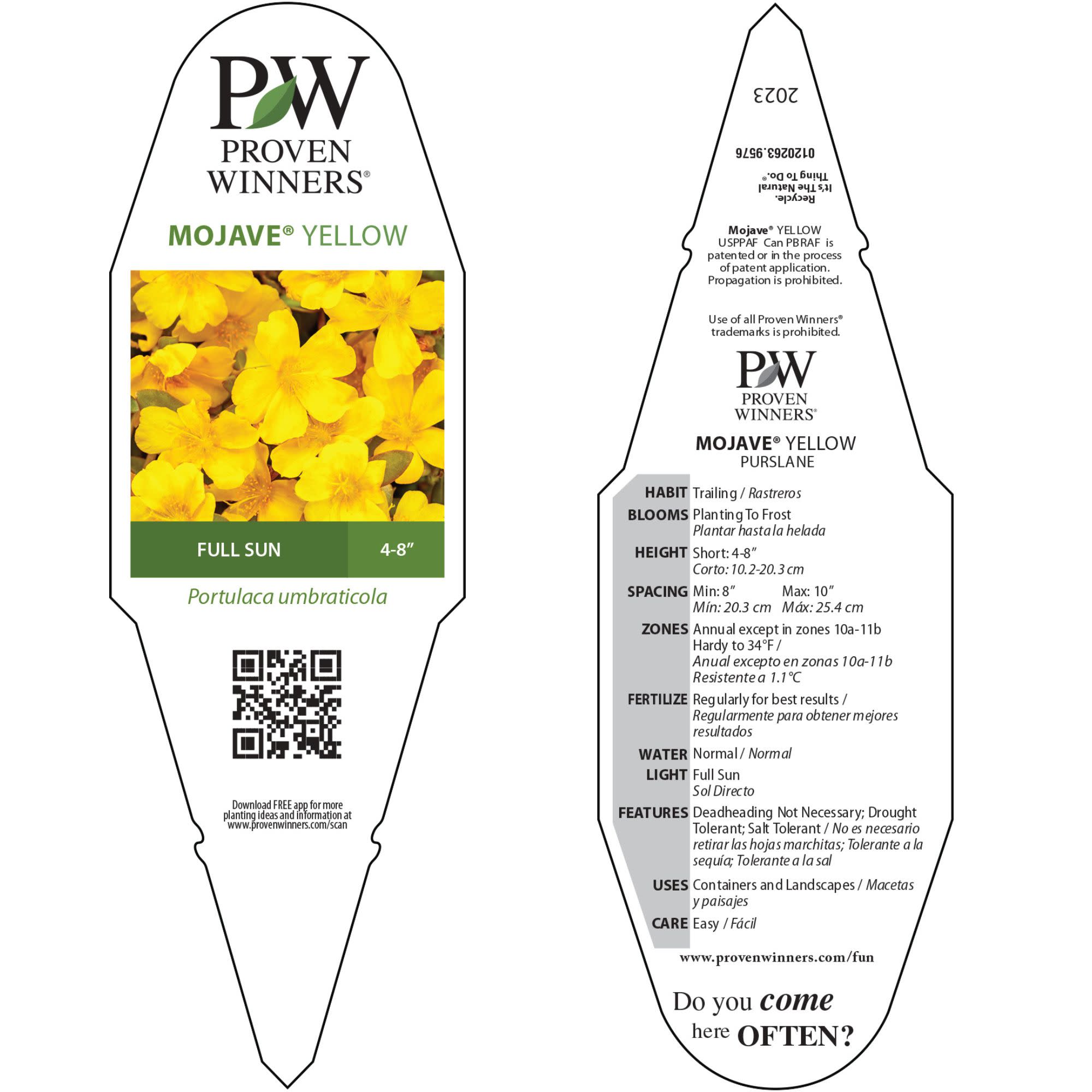 Proven Winners 4" Mojave Yellow Purslane Live Plant in 4.25" Pot (4 Count)