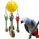 thumbnail image 4 of Cucharas de acero inoxidable loro Swing Pájaro Mascota de juguete Otros, 4 of 4