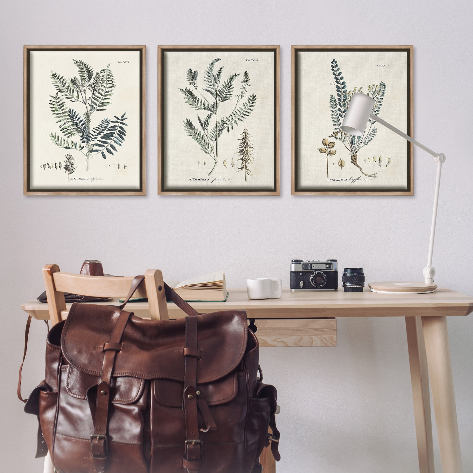 Stupell Industries Woodland Plant Studies Botanical & Floral Painting Brown Floater Framed Canvas Art Print Wall Art, 25 x 31, Set of 3