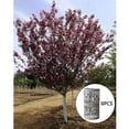 thumbnail image 3 of jinwen Plastic Tree Trunk Guards Tree Guards Tree Protection Fence Prevents Damage From 6pcs, 3 of 9