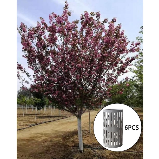 Protectores de plástico para troncos de árboles Protectores de árboles protección para árboles Evitan daños causados por podadoras, podadoras 6 piezas DYNWAVEMX Protectores de tronco de árbol
