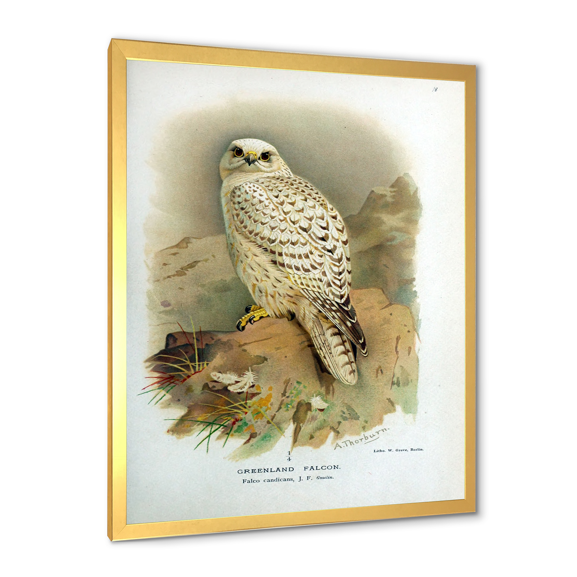 Designart 'Ancient Bird Life VII' Traditional Framed Art Print