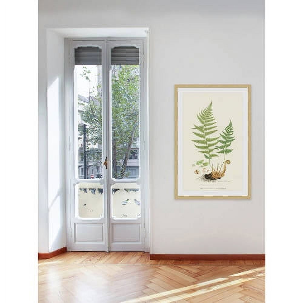 Marmont Hill "Curtis Ferns II" Framed Painting Print