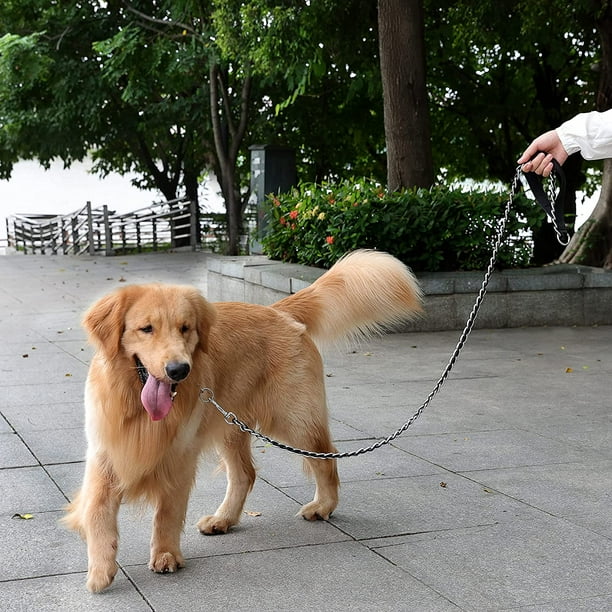 Chain Dog Leash Chew Proof Metal Leash for Medium Large Dogs Chain Link Dog Leash Anti Chew 5.2FT 4FT Strong Anti Bite Dog Leash Comfortable Soft Padded Handle Black Orange Blue